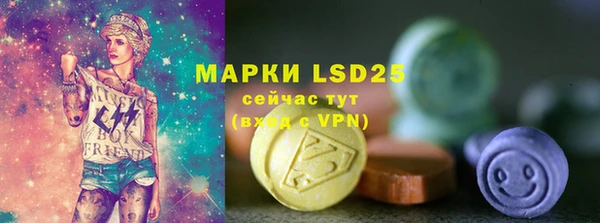 хмурый Алзамай