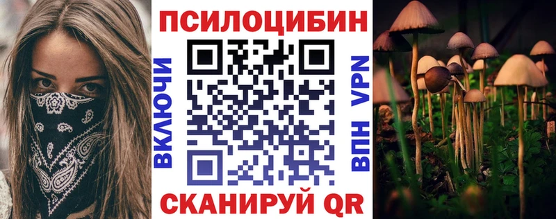Галлюциногенные грибы Psilocybe  Макушино 